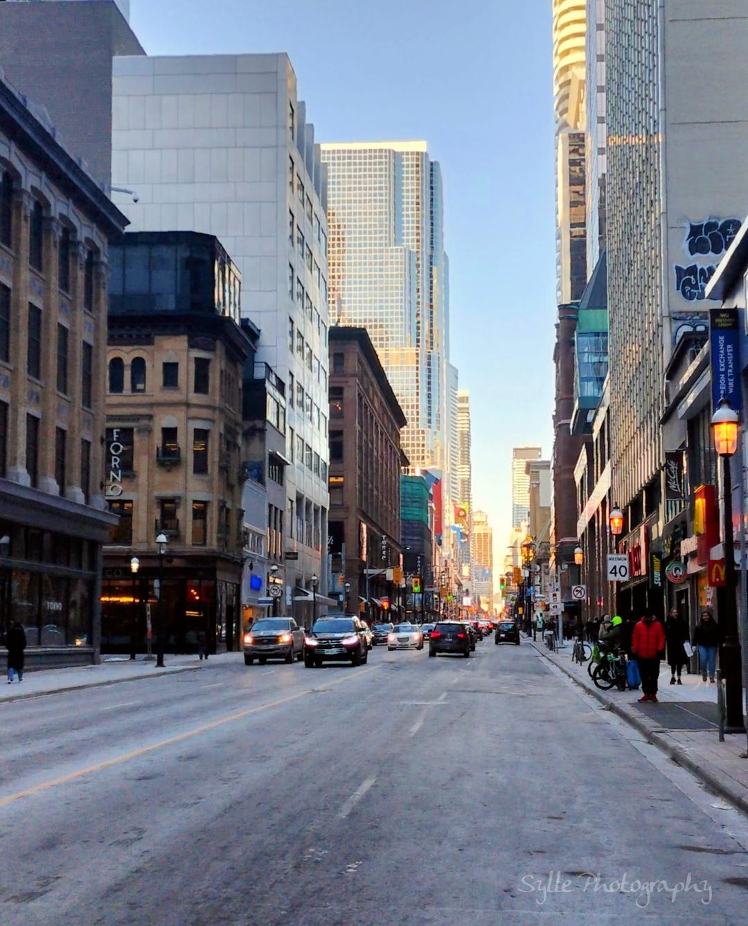 L'avenue Yonge, la plus grande avenue de Toronto, qui s'étend du nord au sud de la ville. C. BERNARD, Janvier 2023